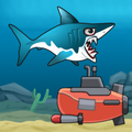 Shark Feed