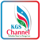 KGSTV APK