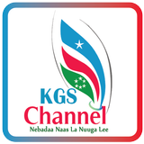 KGSTV icône