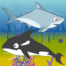 alimentation de requin APK