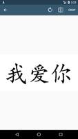 Image Scan Translator Chinese  скриншот 3