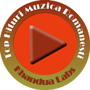 Top Hituri Muzica Romanesti APK