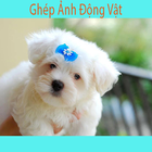 Ghép ảnh động vật vui icône