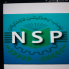 SIS NSP PEF icon