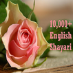 English Shayari