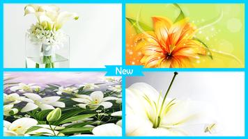 برنامه‌نما Lily Wallpaper عکس از صفحه