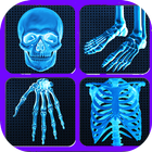 x ray scanner all human body icon