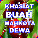 KHASIAT BUAH MAHKOTA DEWA APK