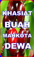 KHASIAT BUAH MAHKOTA DEWA Affiche