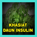 KHASIAT DAUN INSULIN / YAKON APK