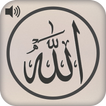 Asmaul Husna 99 names of Allah