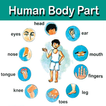 Human Body Parts