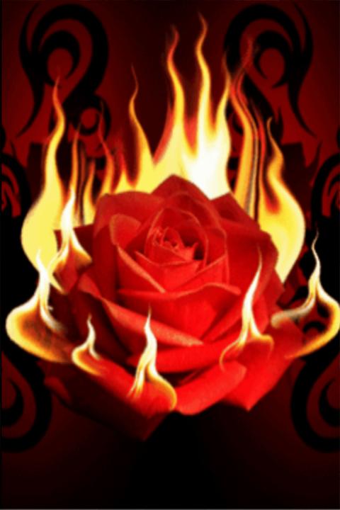 صور ورود متحركة 2018 Gif For Android Apk Download