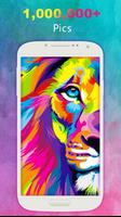 Lion Wallpaper Affiche