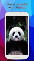 Panda Wallpaper screenshot 2