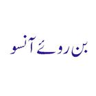 Bin Roye Ansoo Urdu Novel icon