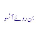 Bin Roye Ansoo Urdu Novel APK