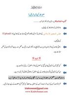 Nabvi Tariqa Ilaj Urdu Screenshot 1