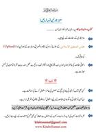 Nabvi Tariqa Ilaj Urdu اسکرین شاٹ 1