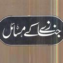 Janaze k Masail in Urdu APK