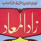 Seerat un nabi Urdu Book ไอคอน