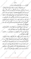 La-hasil Urdu Novel imagem de tela 1