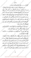 La-hasil Urdu Novel capture d'écran 1