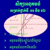 គណិតវិទ្យា សិក្សាអនុគមន៍ पोस्टर