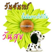 คำคม สวัสดีตอนเช้า 截圖 2