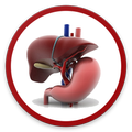 Dr. Rakesh Kumar - Doctor App