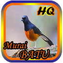 SUARA BURUNG MURAI BATU JAWARA APK