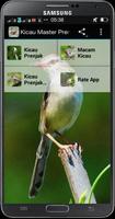 Kicau Burung Prenjak Cartaz