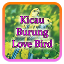 Kicau Burung Love Bird Mp3 APK
