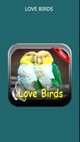 KICAU LOVE BIRDS 2017 screenshot 1