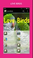 KICAU LOVE BIRDS 2017 capture d'écran 2