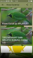 Kicau Cucak Ijo ภาพหน้าจอ 2