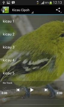 kicau cipoh screenshot 1