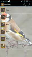 GOLDFINCH MASTER poster