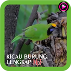 KICAU BURUNG LENGKAP MP3 icon