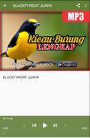 KICAU BURUNG LENGKAP MP3 screenshot 1