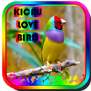 MASTER KICAU LOVEBIRD GACOR APK