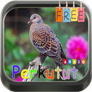 Master Perkutut Terbaik APK