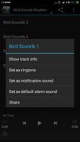 Bird Sounds Ringtones Free capture d'écran 2