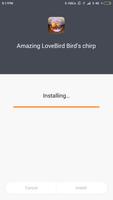 Poster Amazing LoveBird Birds chirp