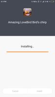 Amazing LoveBird Birds chirp Cartaz