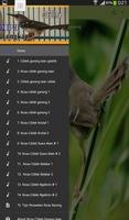 Kicau Burung Ciblek Gunung Isian screenshot 2