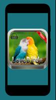 master kicau love birds new screenshot 1