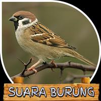 Suara Burung Greja Tarung โปสเตอร์