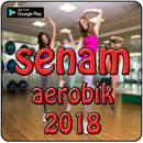 Vidio Senam Aerobic 2018 aplikacja