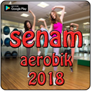 Vidio Senam Aerobic 2018 APK
